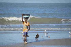 Djikesse_01-1024x678